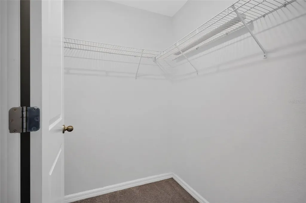 7617 Ginger Lily Court Tampa FL 33619