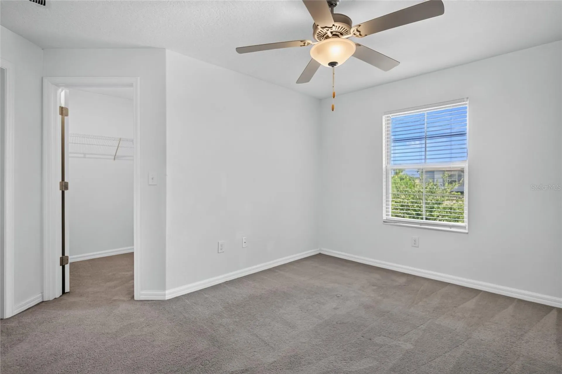 7617 Ginger Lily Court Tampa FL 33619