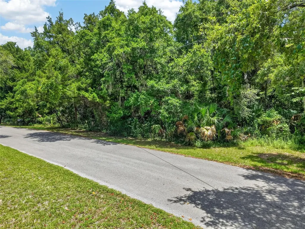 0 SW Palm Point Inglis FL 34449