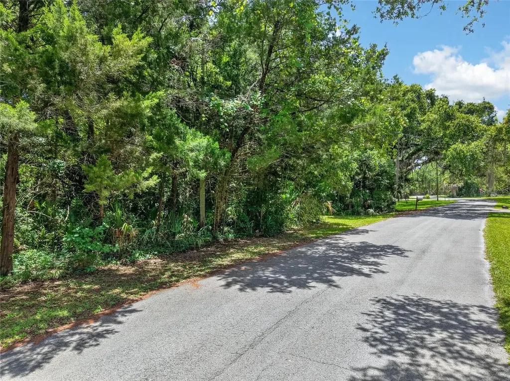 0 SW Palm Point Inglis FL 34449
