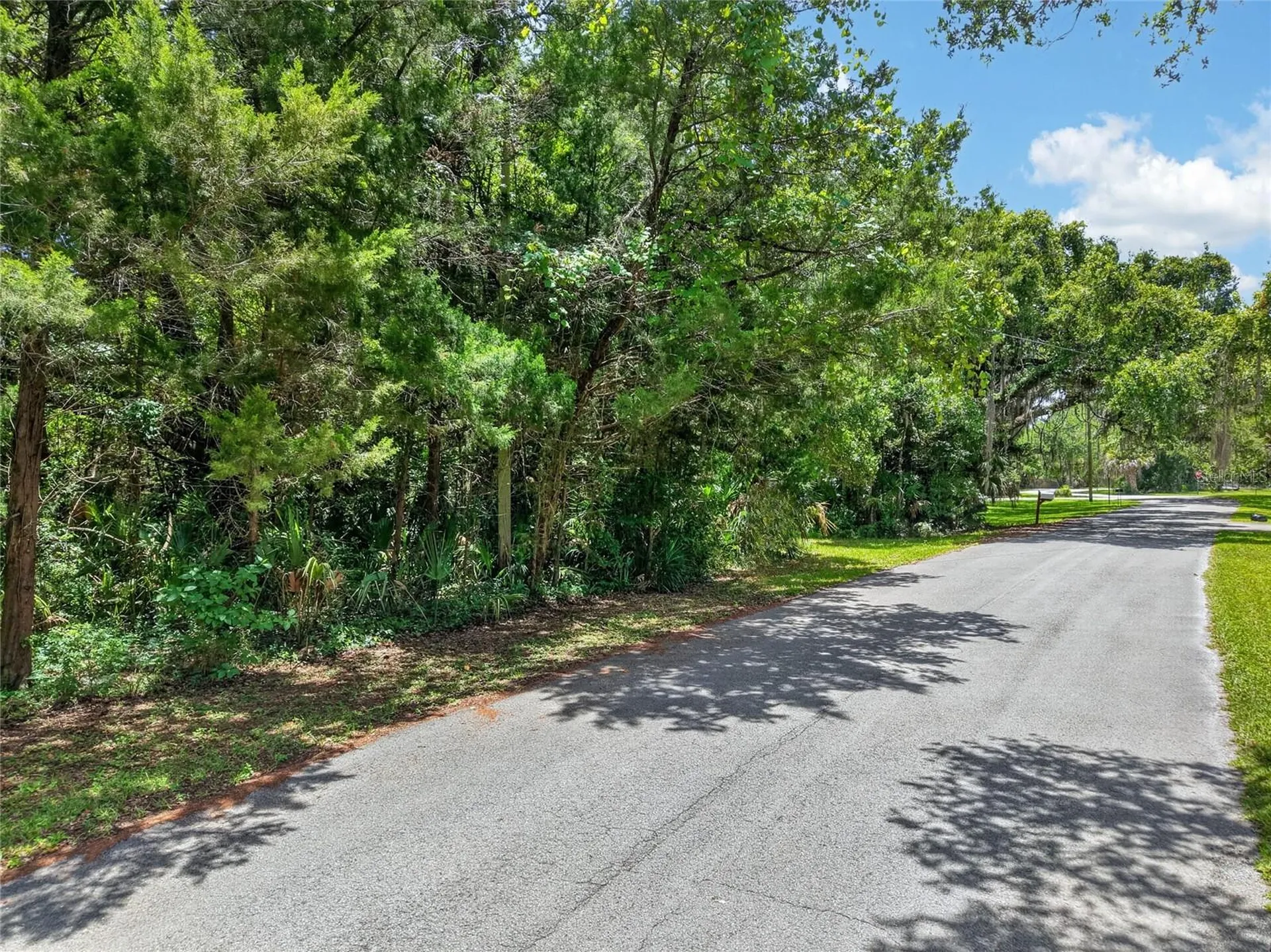 0 SW Palm Point Inglis FL 34449