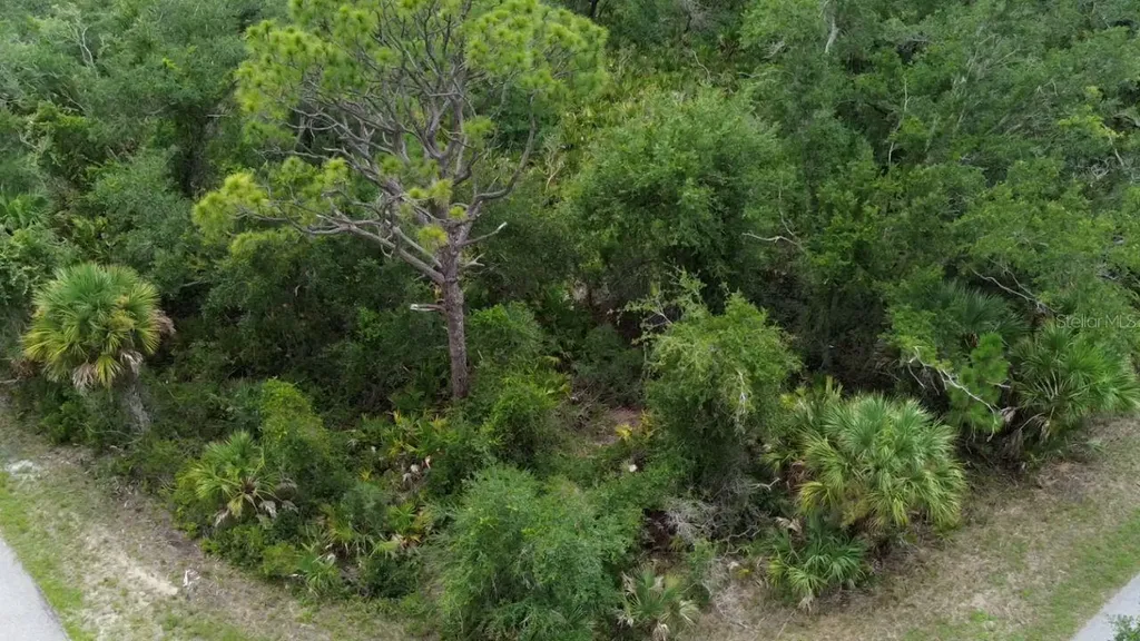 1388 Clearview Drive Port Charlotte FL 33953