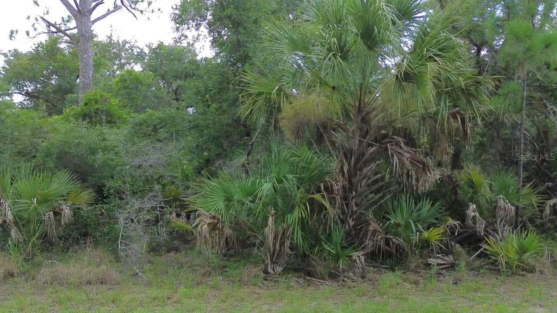 1388 Clearview Drive Port Charlotte FL 33953