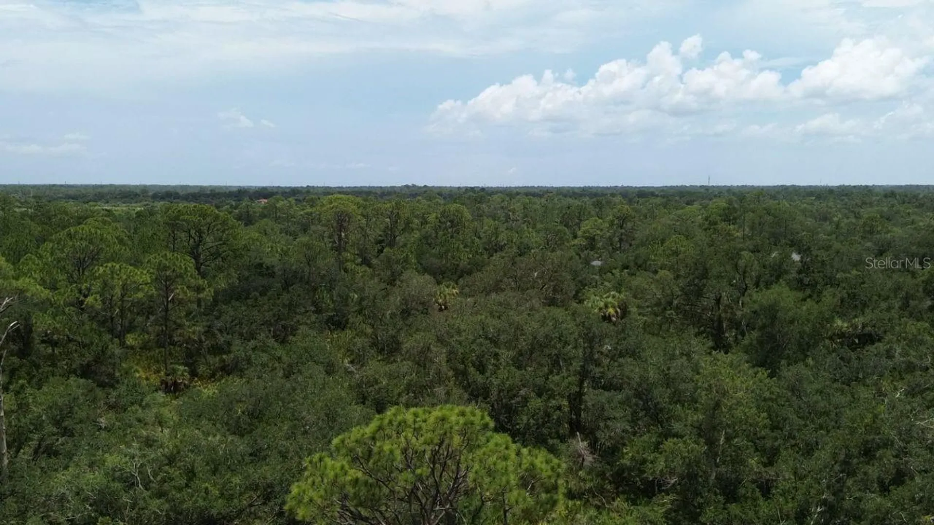 1388 Clearview Drive Port Charlotte FL 33953