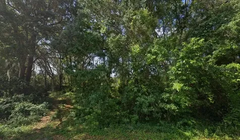 0 SW 79th Terrace Road Ocala FL 34473