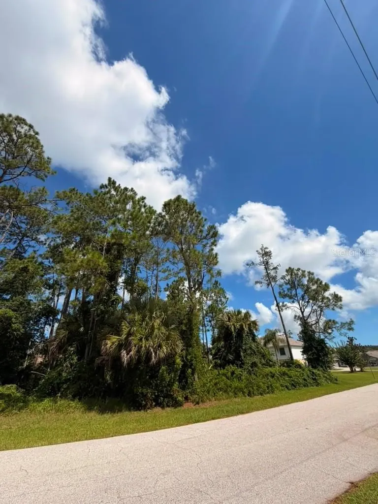 14 Red Barn Drive Palm Coast FL 32164