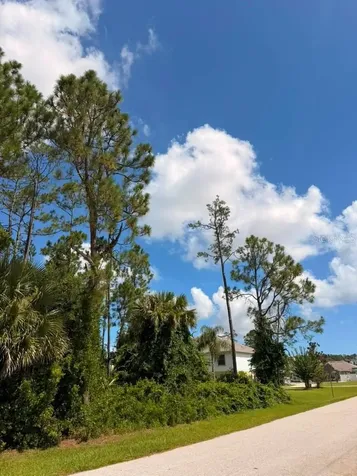 14 Red Barn Drive Palm Coast FL 32164