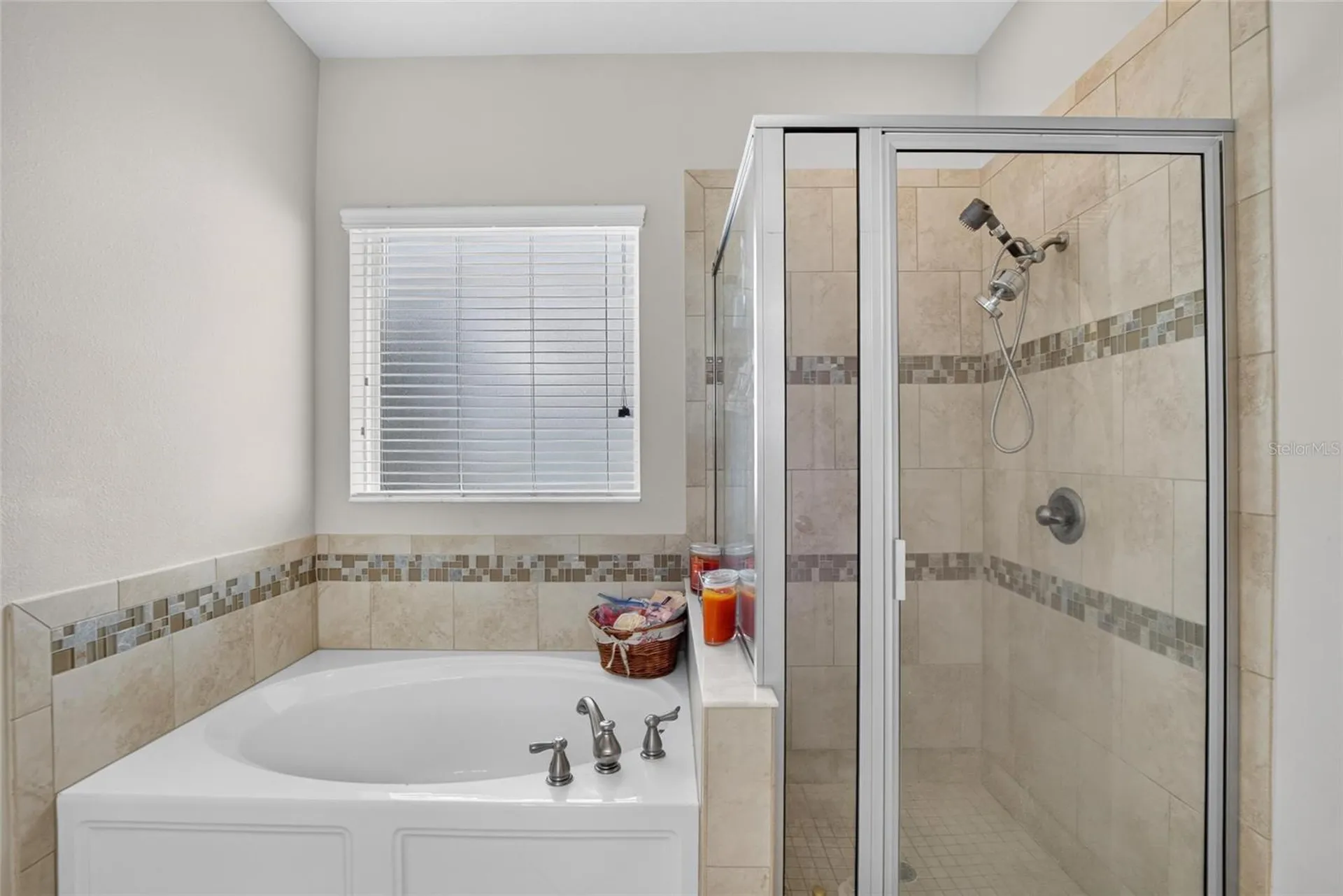 16220 Bayberry View Drive Lithia FL 33547