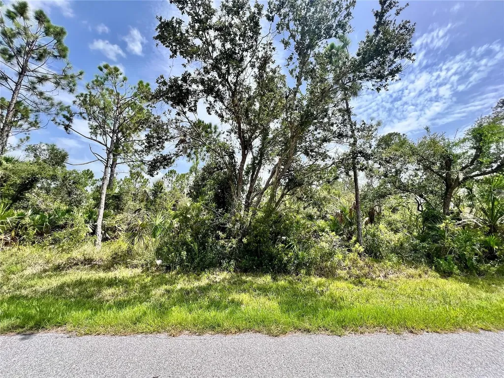 13377 Johannes Avenue Port Charlotte FL 33953