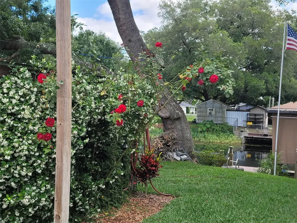 27728 Lisa Drive Tavares FL 32778