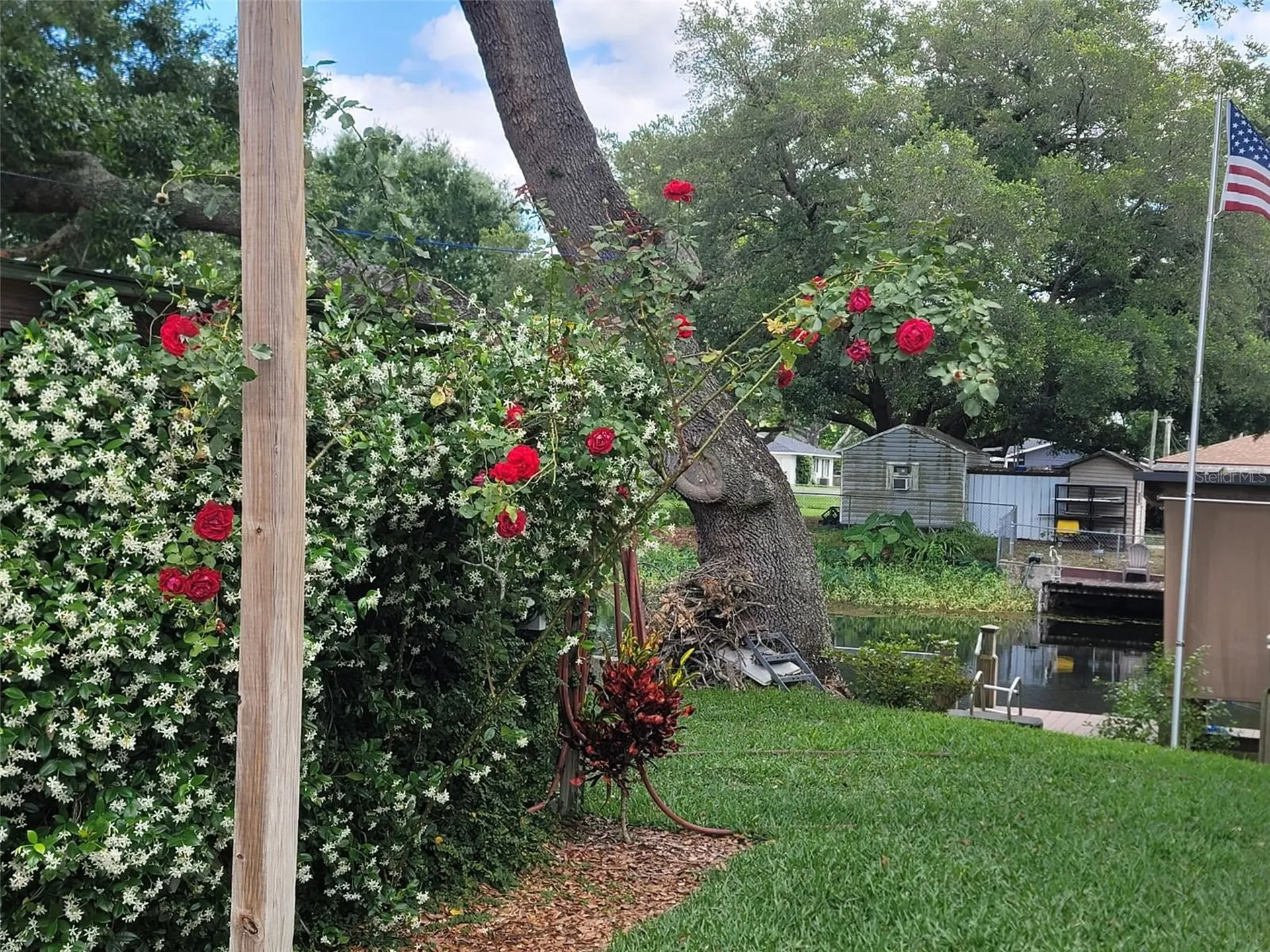 27728 Lisa Drive Tavares FL 32778