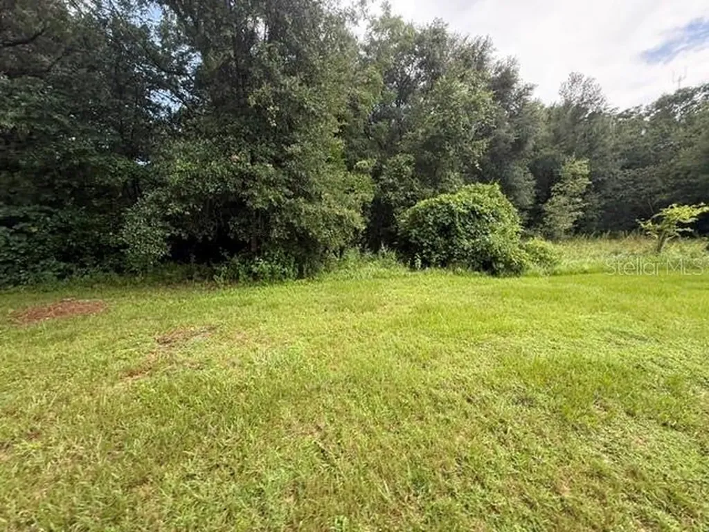 21450 NE 35th Street Williston FL 32696