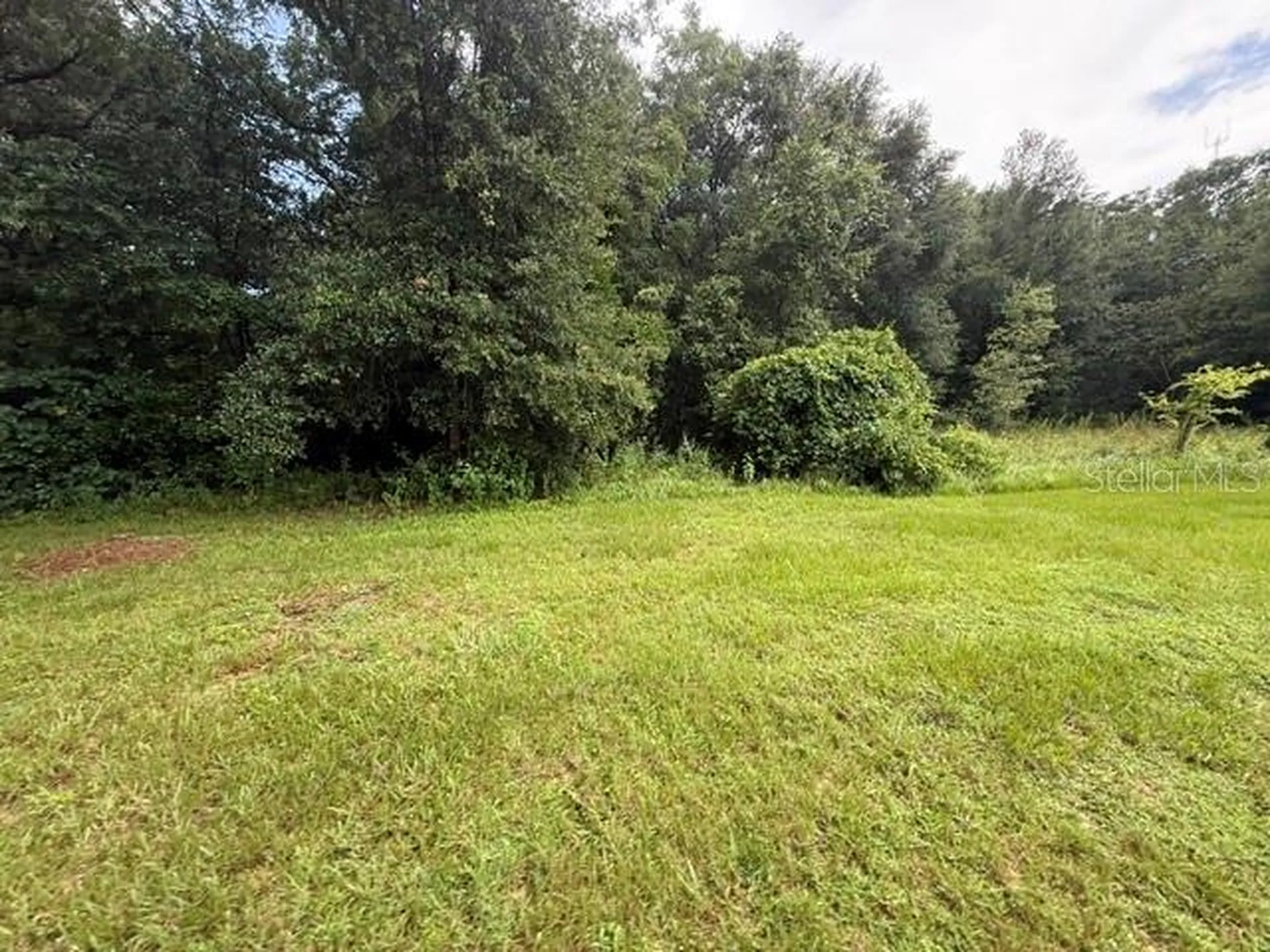 21450 NE 35th Street Williston FL 32696