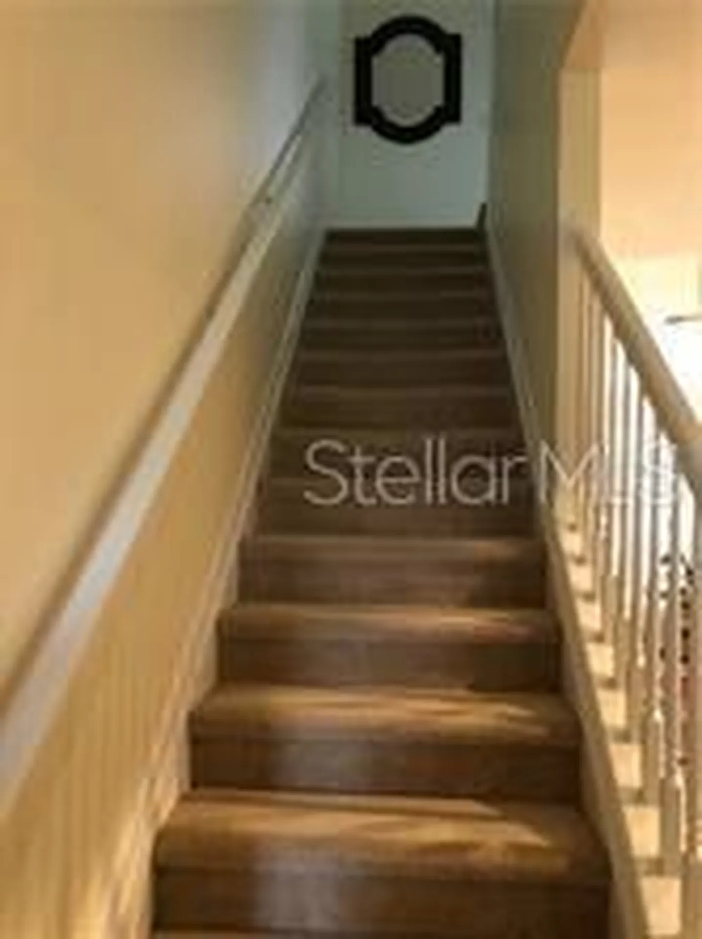 948 Vista Cay Court Brandon FL 33511