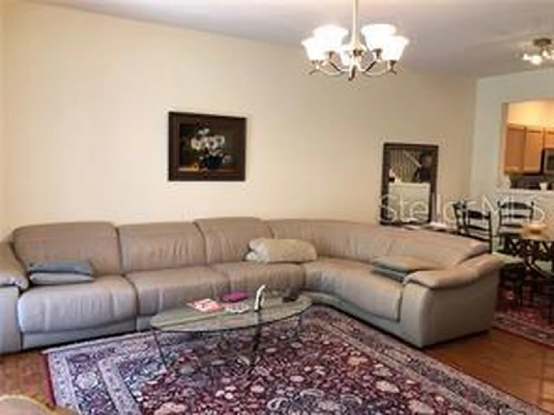 948 Vista Cay Court Brandon FL 33511