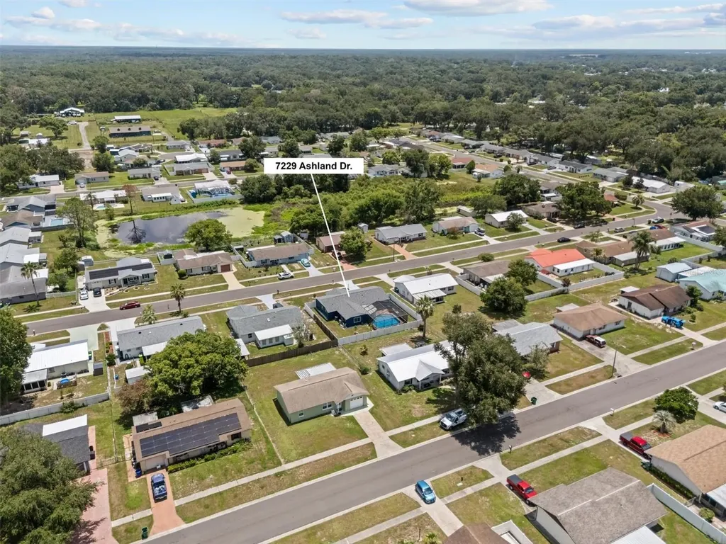7229 Ashland Drive Zephyrhills FL 33540