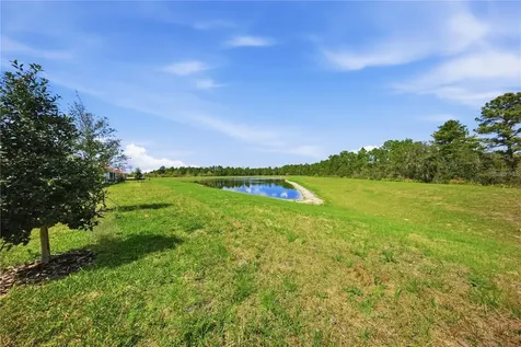 12893 Harvest Rain Avenue Winter Garden FL 34787