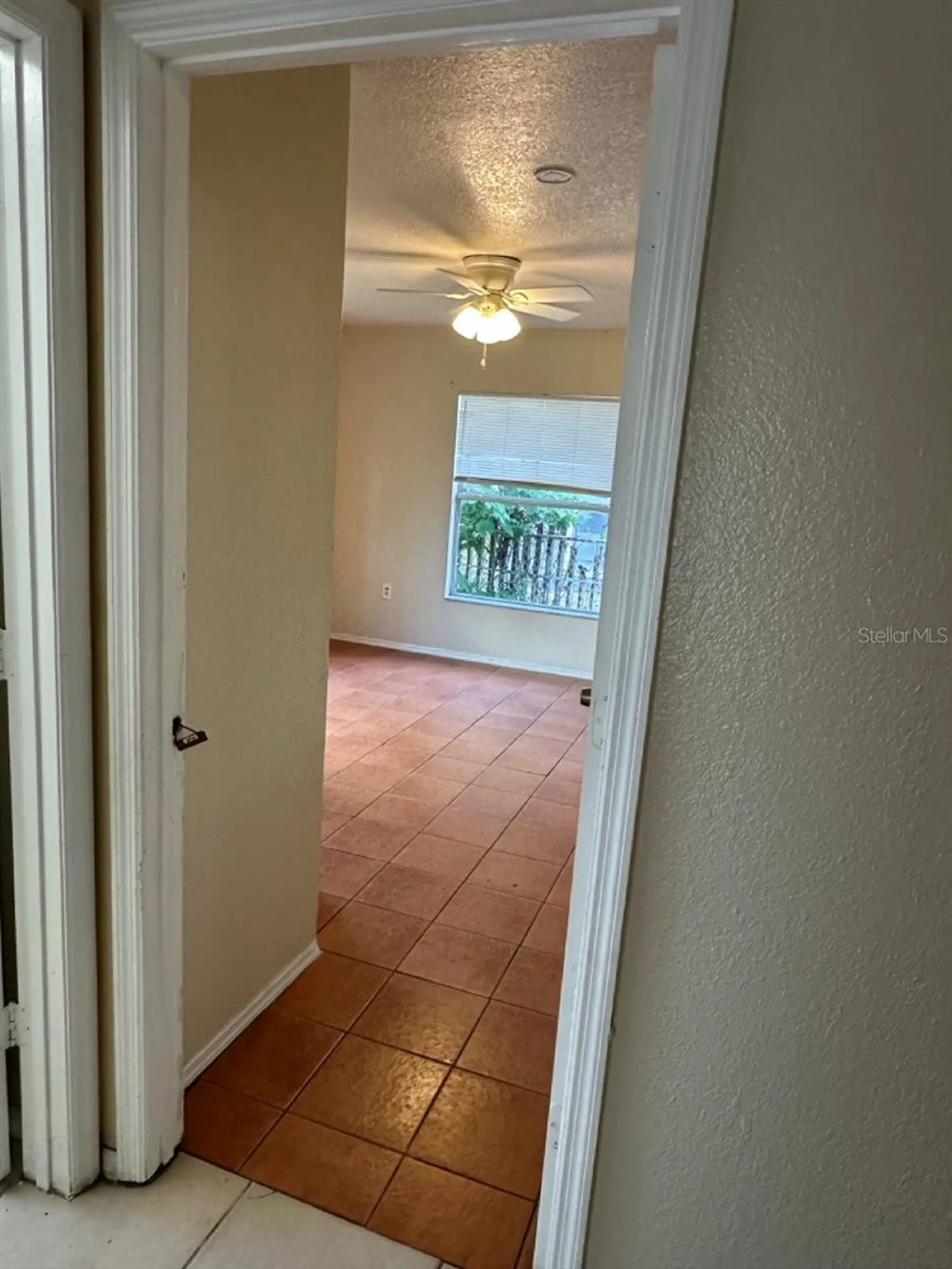 3613 E Chelsea Street Tampa FL 33610