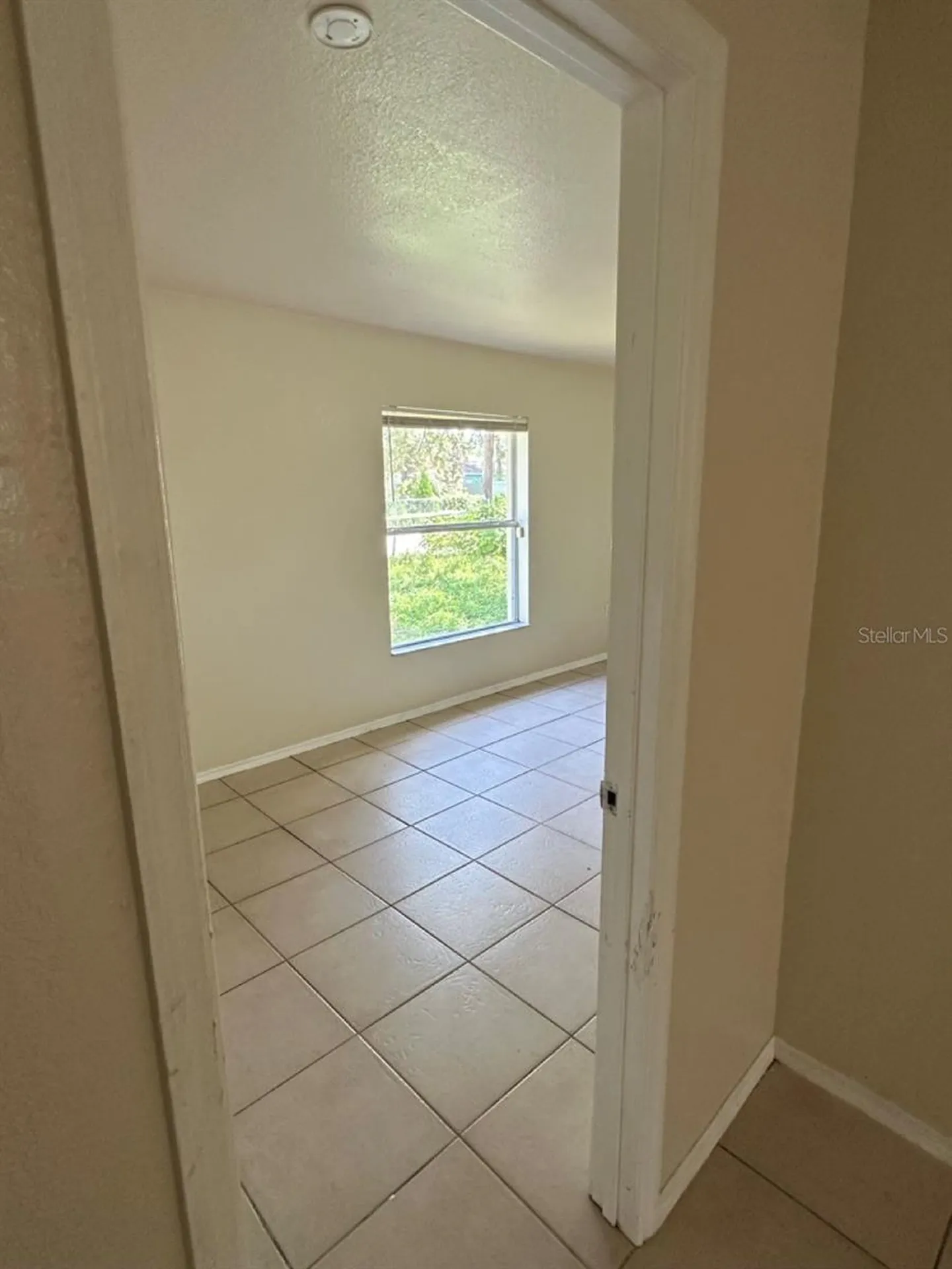 3613 E Chelsea Street Tampa FL 33610