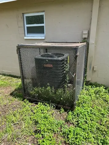 3613 E Chelsea Street Tampa FL 33610