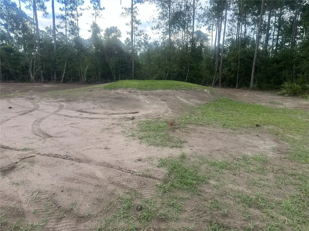 10220 Crotty Avenue Hastings FL 32145