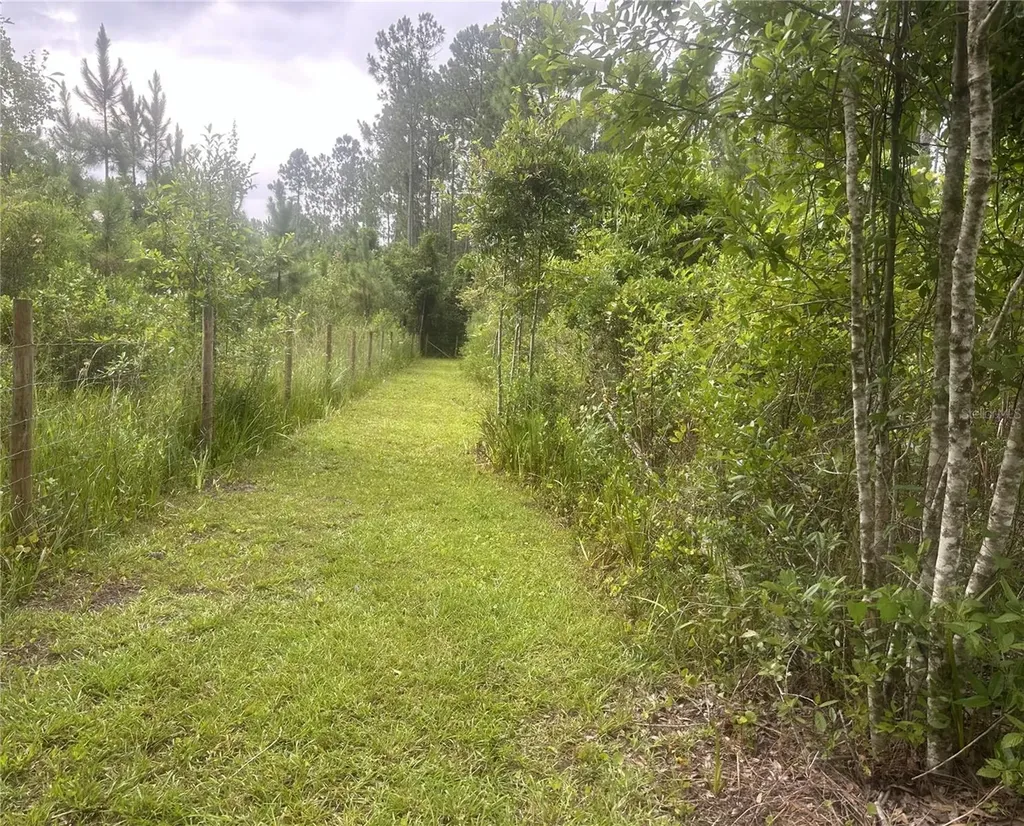 10220 Crotty Avenue Hastings FL 32145