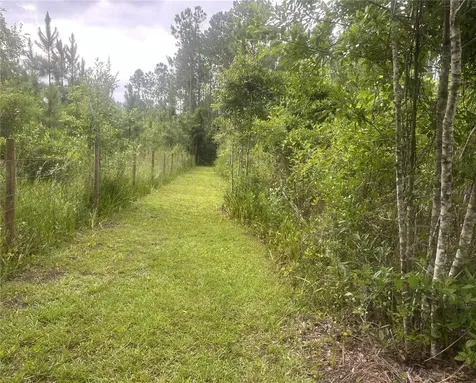 10220 Crotty Avenue Hastings FL 32145