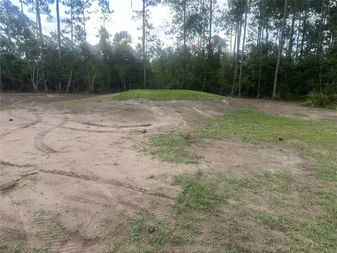 10220 Crotty Avenue Hastings FL 32145