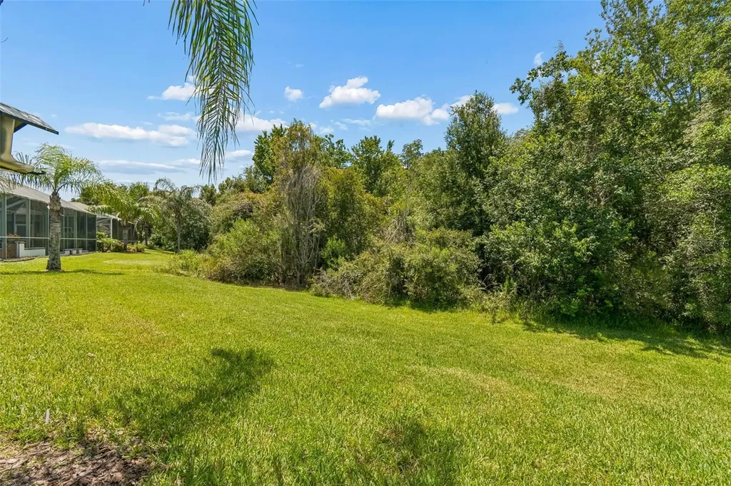 4123 Windcrest Drive Wesley Chapel FL 33544