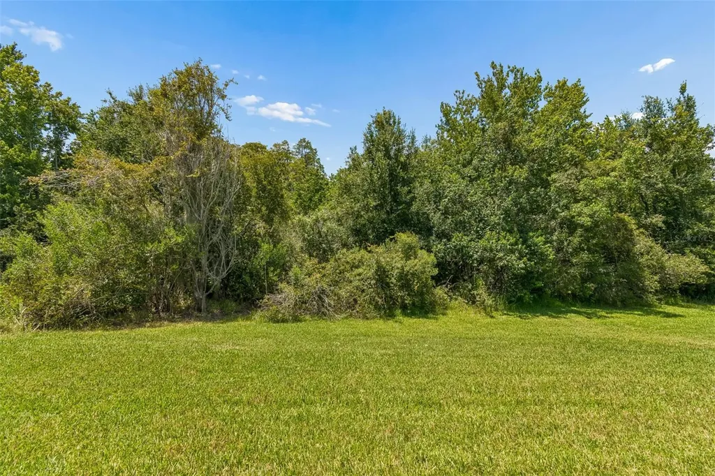 4123 Windcrest Drive Wesley Chapel FL 33544