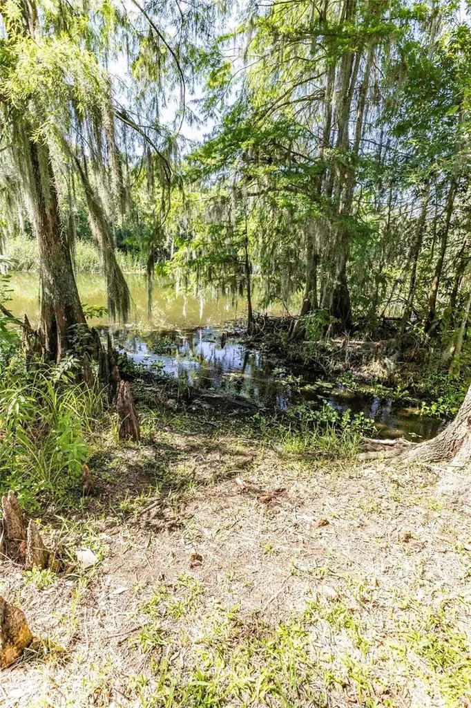 2886 N C 470 Lake Panasoffkee FL 33538
