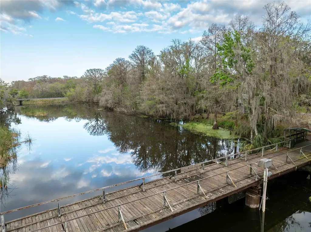 2886 N C 470 Lake Panasoffkee FL 33538