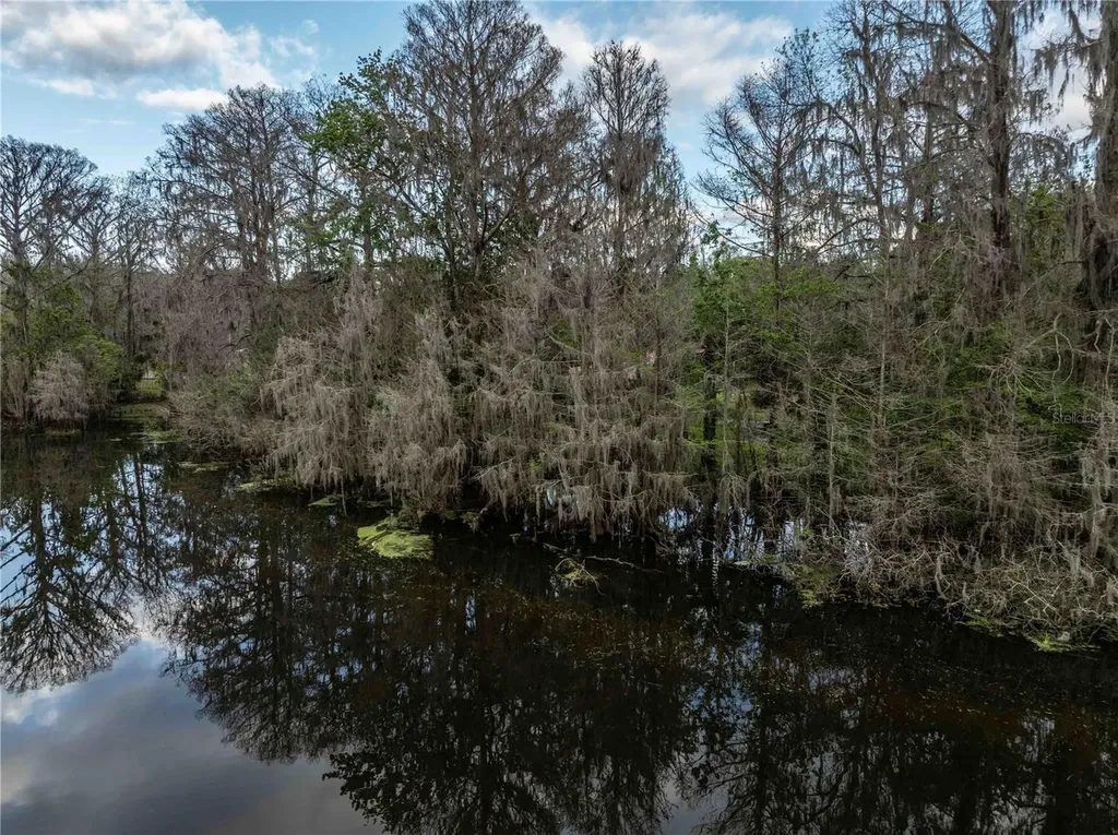 2886 N C 470 Lake Panasoffkee FL 33538