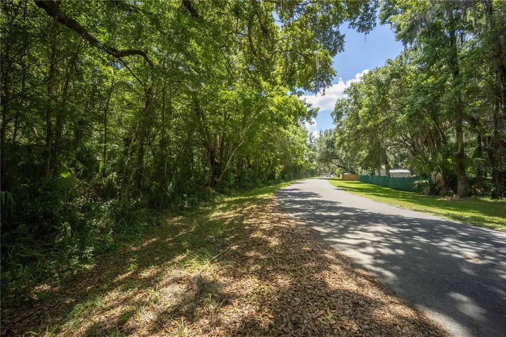 2886 N C 470 Lake Panasoffkee FL 33538