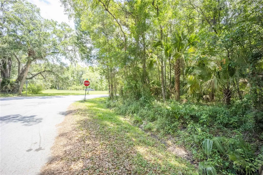 2886 N C 470 Lake Panasoffkee FL 33538