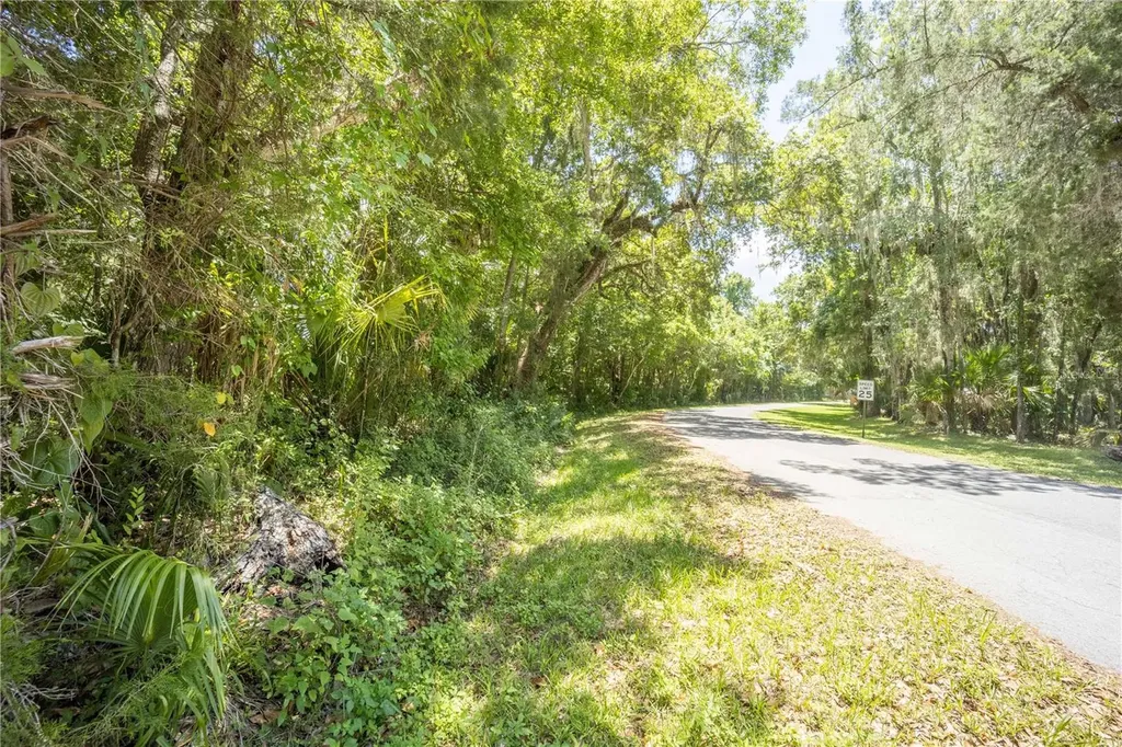 2886 N C 470 Lake Panasoffkee FL 33538
