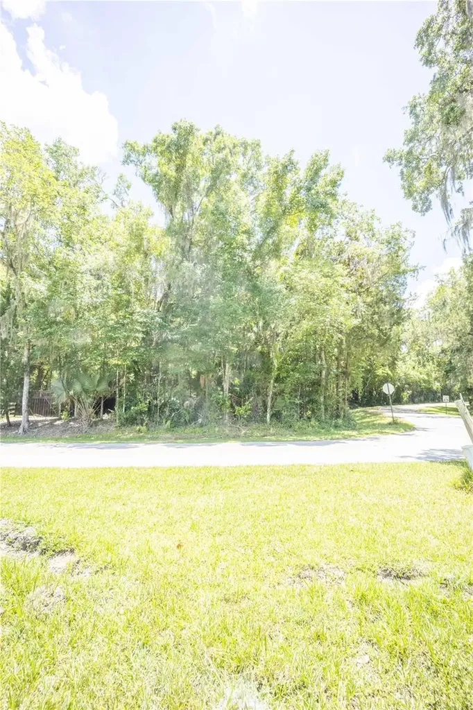 2886 N C 470 Lake Panasoffkee FL 33538