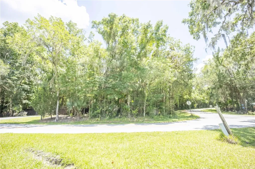 2886 N C 470 Lake Panasoffkee FL 33538