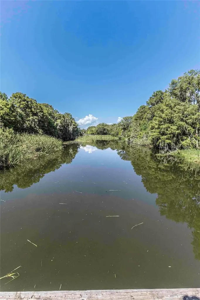 2886 N C 470 Lake Panasoffkee FL 33538