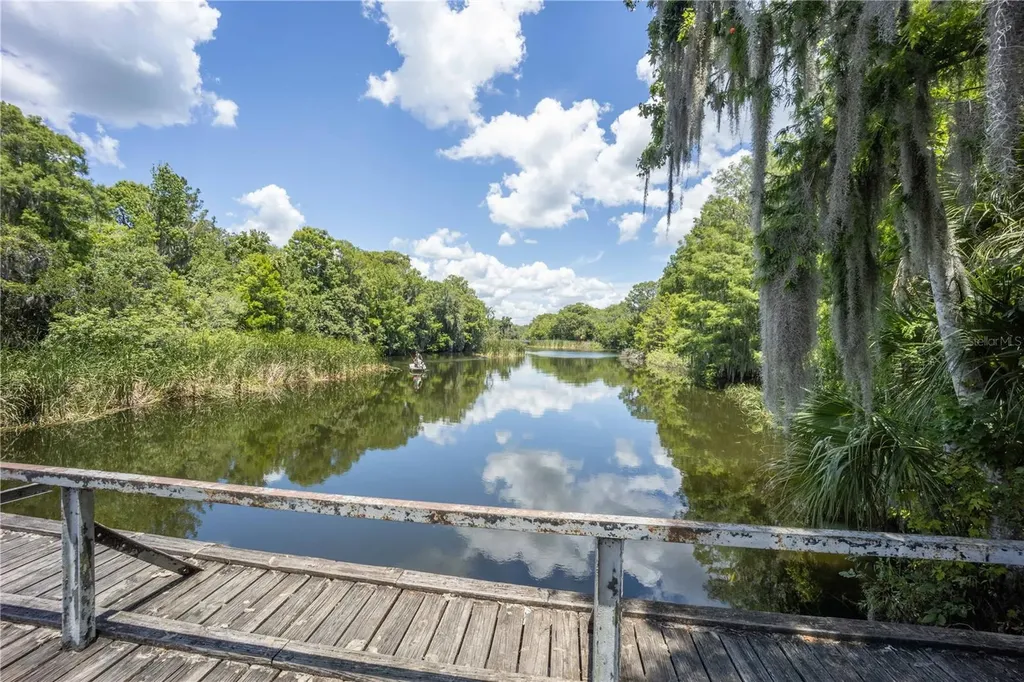 2886 N C 470 Lake Panasoffkee FL 33538