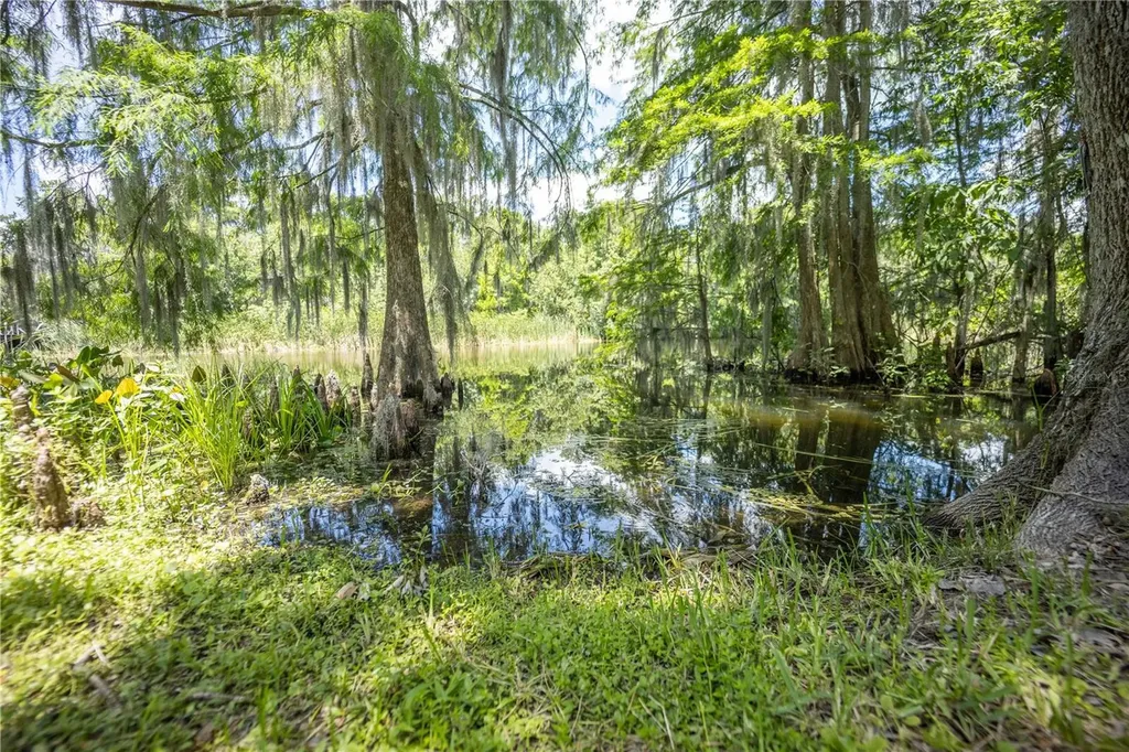 2886 N C 470 Lake Panasoffkee FL 33538