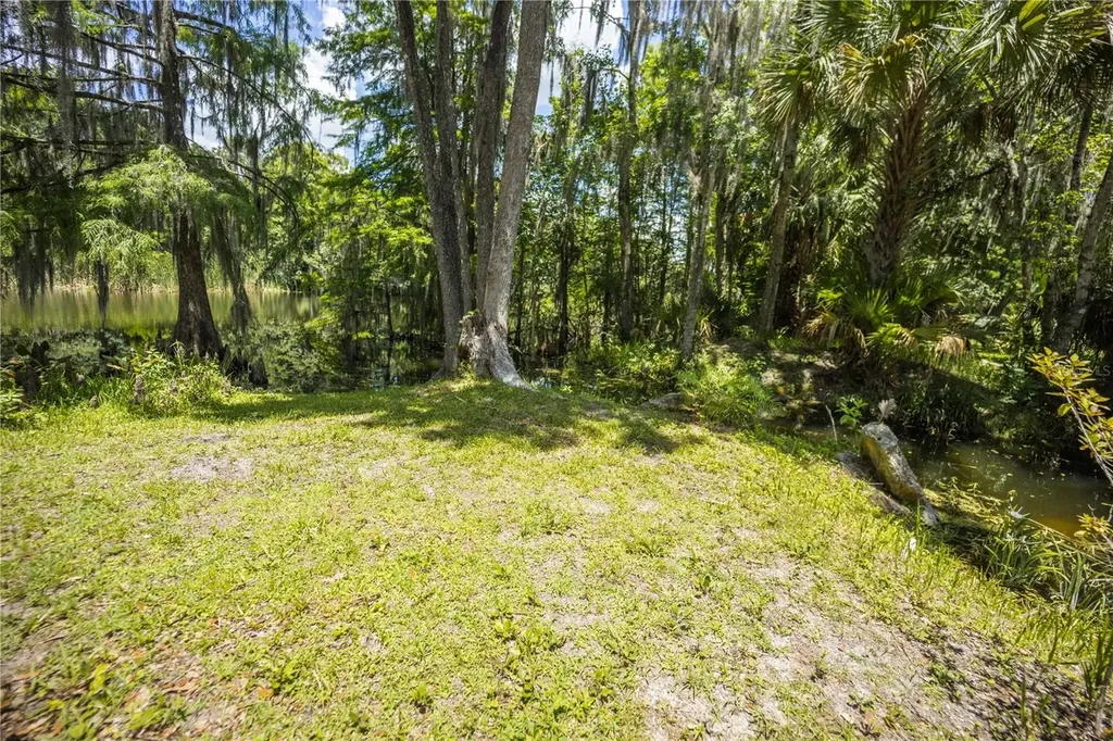 2886 N C 470 Lake Panasoffkee FL 33538