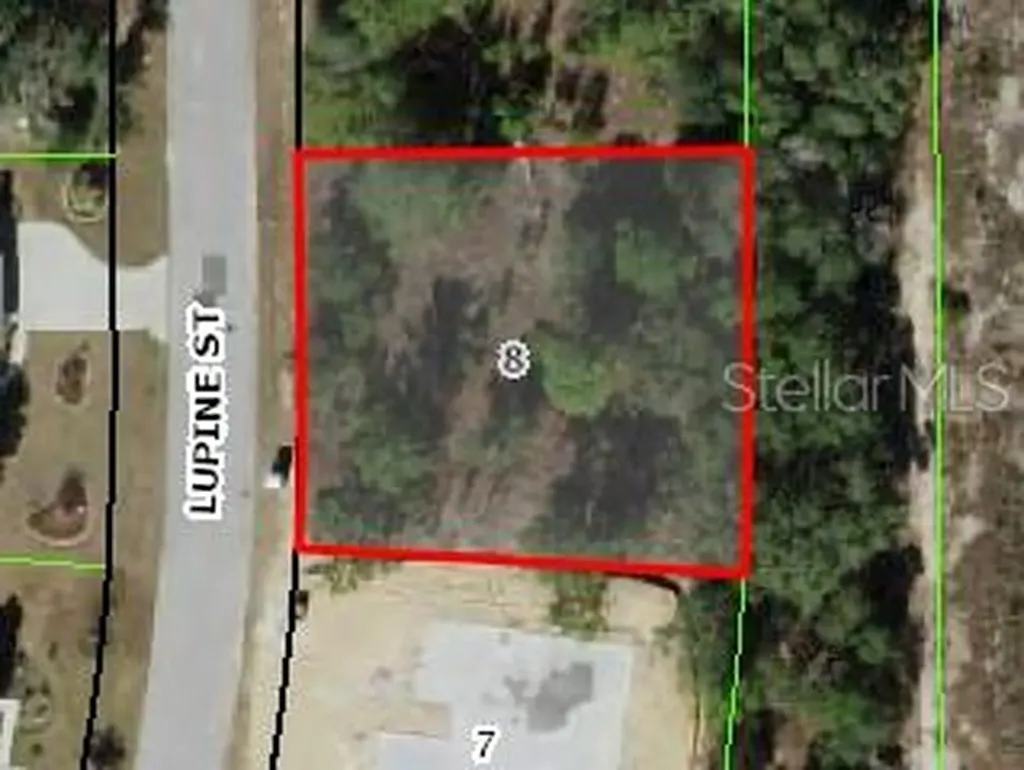 16 Lupine Street Homosassa FL 34446