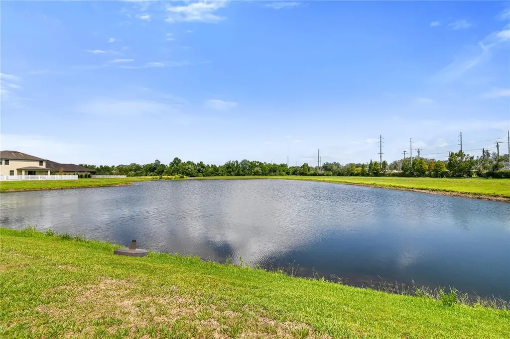 12514 Ballentrae Forest Drive Riverview FL 33579