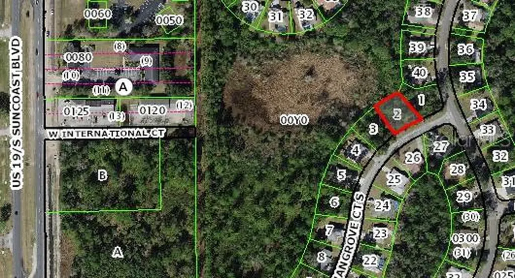 4 Mangrove Court S Homosassa FL 34446