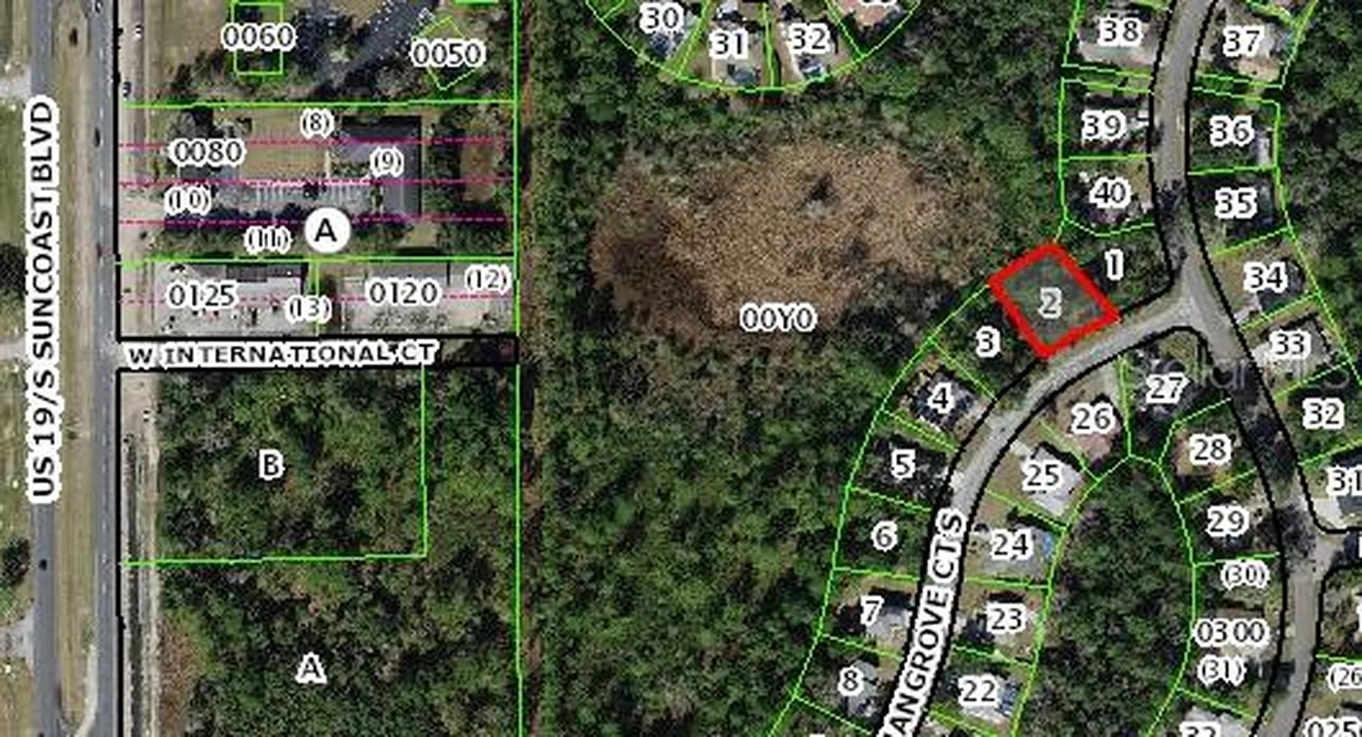 4 Mangrove Court S Homosassa FL 34446