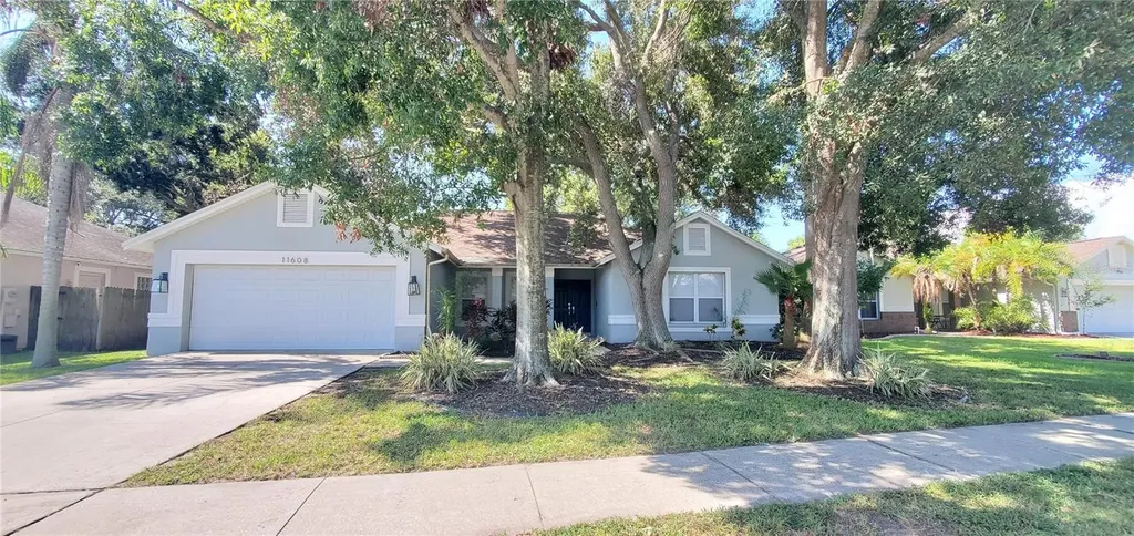 11608 Wellman Drive Riverview FL 33578