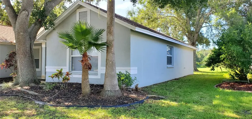 11608 Wellman Drive Riverview FL 33578