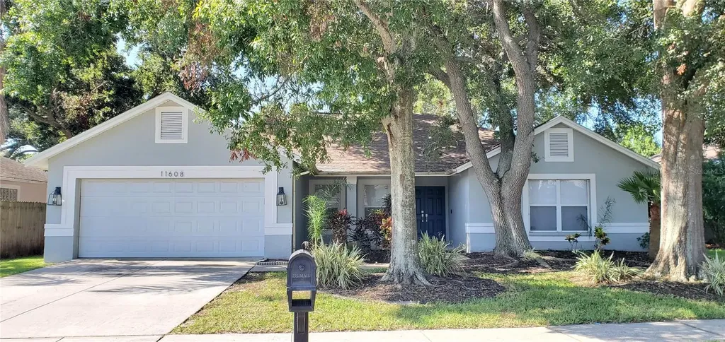 11608 Wellman Drive Riverview FL 33578