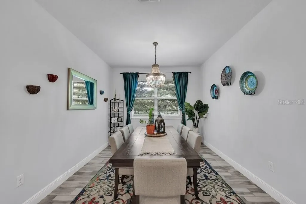 11505 Cambium Crown Drive Riverview FL 33569